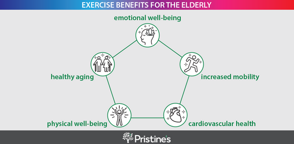 Exercise Routines and Techniques for the Elderly