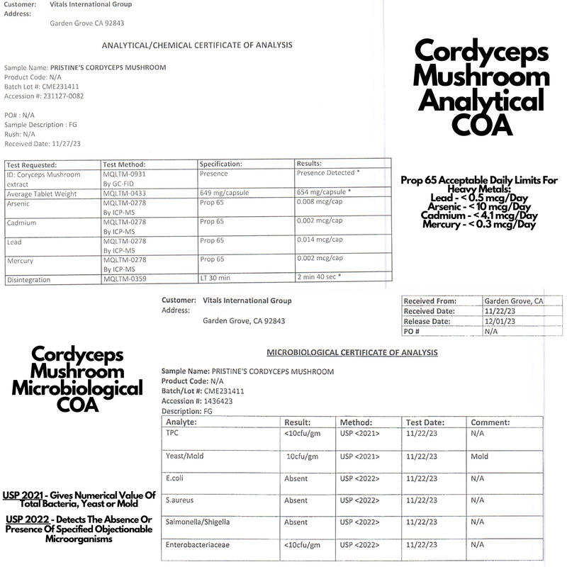 Cordyceps Mushroom Extract