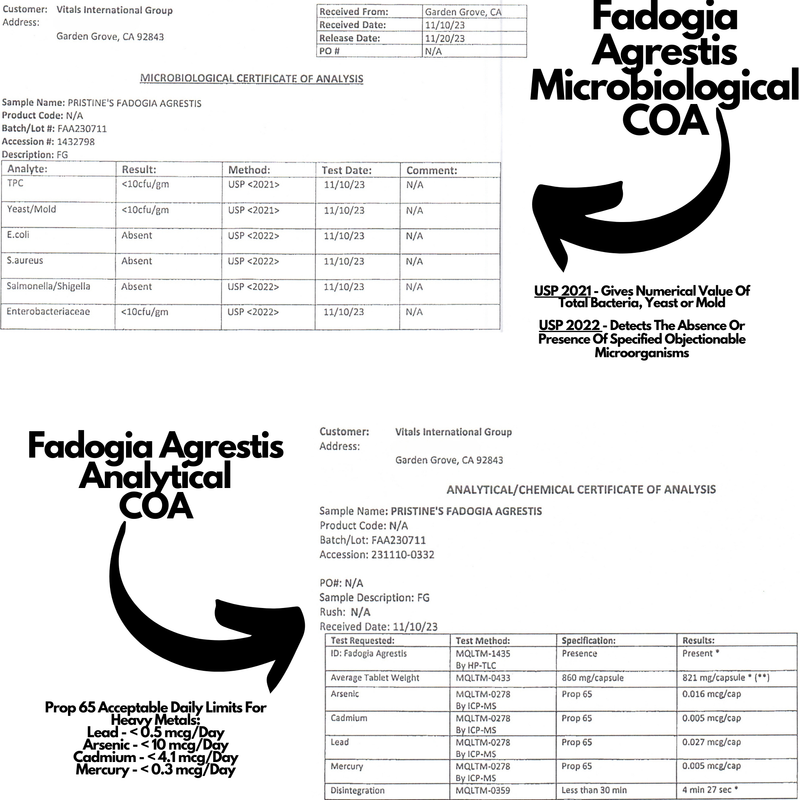 Fadogia Agrestis