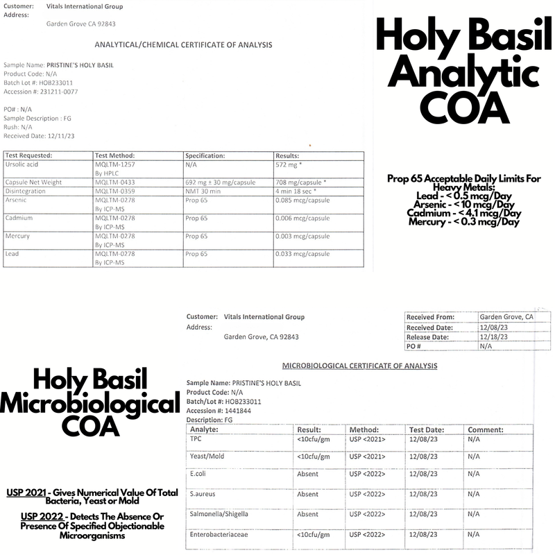 Holy Basil (Tulsi)